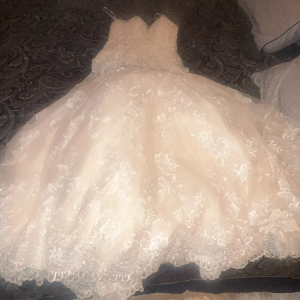 "Elegant 2016 Wedding Dress for Sale – Perfect Condition!" - Picture 1 of 8